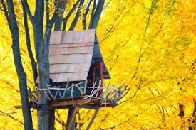 Maybe you would like to learn more about one of these? 10 Foto Desain Rumah Pohon Yang Cantik Dan Menarik