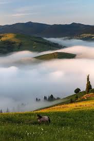 Preturi, hoteluri, cazare, early booking si last minute pentru oferte litoral 2021, oferte munte 2021 in bulgaria, grecia, romania, turcia, tunisia, egipt, portugalia. Bucovina Romania Natural Landmarks Landmarks Travel