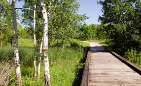 Best Family Friendly Nature Walks Around Chicago Upparent
