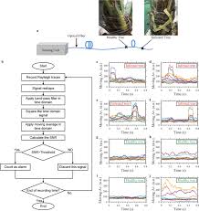 An optical sensor system typically includes the sensor, a light source, optical fiber, and a measuring device; Early Detection Of Red Palm Weevil Using Distributed Optical Sensor Scientific Reports