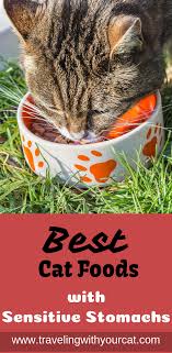 Best Cat Foods For Cats With Sensitive Stomachs Best Cat Food Cat Food Cool Cats