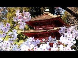Yup Today I Ll Be Easy To Myself Starting With Vogue Fashion Editorial Feed Zen Garden Relaxation Meditation Flowering Cherry Tree