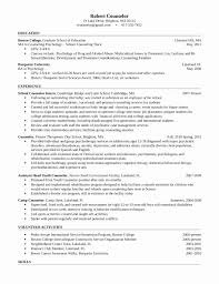 School Counselor Resume Examples Elegant Entry Level Freshers Counselor Resume Template Job Resume Samples Resume Examples Teacher Resume Template