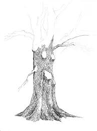 Learn how to draw realistic trees with pens. Tree Pen And Ink Drawing Steps