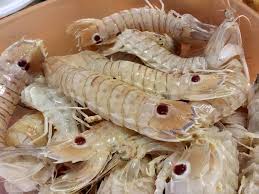 1 peperoncino prezzemolo tritato q.b. Differenza Tra Scampi E Cicale Ottavia Bellia