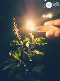Fav Click By Me Lamp Lights Thulsi Thrikarthika Special Clicks Diwali Photography Indian Aesthetic Lord Krishna Images