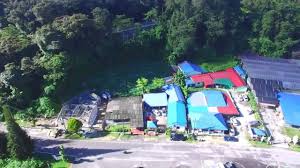 4781 meeldimist · 9 räägivad sellest · 13 145 olid siin. Cameron Highlands Dahlia Homestay Youtube