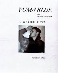 Image result for State Blue 2002 Puma