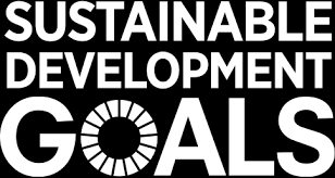 The historic agenda lays out 17 sustainable development goals (sdgs). Sdgs In Action