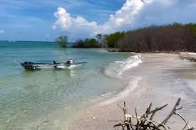Last rental at 4 pm , winter last rental at 3:30 pm. Clear Kayak Tour Of Shell Key Preserve And Tampa Bay Area Marriott