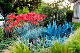 75 Beautiful Small Front Yard Landscaping Pictures Ideas March 2021 Houzz Via houzz, photo by brenda olde.
