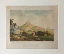 in Rajpootana. By Captain Robert Grindlay