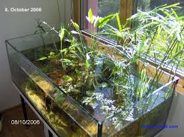 Tuncalik S Low Tech Natural Biotope Aquarium Http Www Tuncalik Com 2009 09 Biotope In My Study Planted Aquarium Aquarium Biotope Aquarium