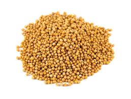 Plantation size 10 rai (1.6 ha). Yellow Mustard 1 Kg 5 Kg 10 Kg 25 Kg 50 Kg Rs 55 Kilogram Geeta Trader Id 17797565491