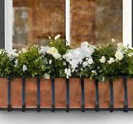 Low-Maintenance Window Flower Box Ideas for Busy Homeowners ...
