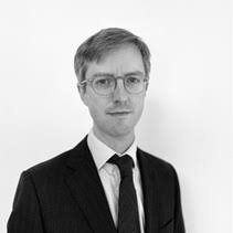 Experts in Local Government