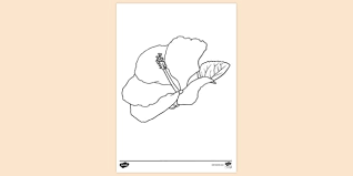 When it gets too hot to play outside, these summer printables of beaches, fish, flowers, and more will keep kids entertained. Printable Hibiscus Flower Colouring Page Colouring Sheets