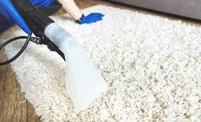 How To Clean A Shag Rug In 2020 Cleaning Area Rugs Clean Shag Rug Rug Cleaning Diy