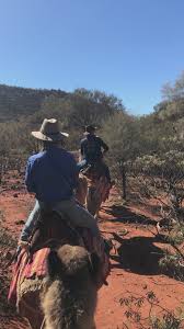 Explore alice springs holidays and discover the best time and places to visit. Camel Tours Nt Alice Springs Australia