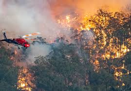 Once ignited, a bushfire then has to traverse the landscape and impact a populated area, where it remains to be seen if the fires of 2019/2020 will alter that conclusion, but according to the abatzoglou. Bushfire Relief Spend At These Perth Venues To Help