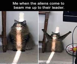 Scott' but never 'beam me up scotty'. Beam Me Up Fatty Memes