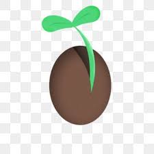Contoh gambar bunga anyelir fontoh sumber fontoh.blogspot.com. Gambar Unsur Komersial Benih Kartun Dua Puluh Empat Istilah Matahari Perkecambahan Kartun Sprout Png Transparan Dan Clipart Untuk Unduhan Gratis In 2021 Growing Beans Prints For Sale Seeds