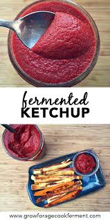 How To Make Fermented Ketchup Recipe Low Carb Recipes Dessert Food Recipes
