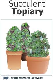 We did not find results for: Succulent Topiary Wire Frames Filled With Lush Succulents
