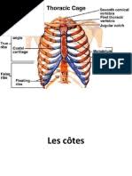 Chaque côté de la tour avait vingt pieds de largeur, saci bible, judith, i … dictionnaire de la langue française d'émile littré. L Entorse Lombaire Tour De Rein Chiropratique Sillery Vertebre Chiropratique