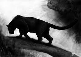Pinterest Black Panther Cat Black Panther Animal Wallpaper Black Jaguar Animal