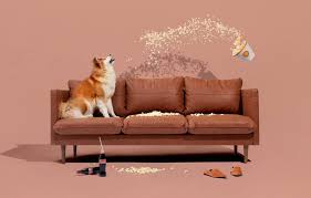 Find modern and trendy sofa direct to make your home look chic and elegant, only on alibaba.com. Best Direct To Consumer Sofa And Couch Brands 2021 Popsugar Home