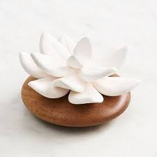 Add A Delicious Scent To Your Space With This Ceramic Succulent Shaped Diffuser Complete With A 5ml Bottle Of De Diffuser Gift Ceramic Succulent Paper Source