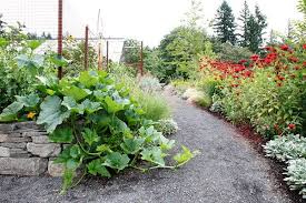 Home Of Maryellen Hockensmith And Michael Mcculloch Nw Portland Overlooking Hillsboro Valley Portland Portland Garden Garden Pictures Garden Design Magazine