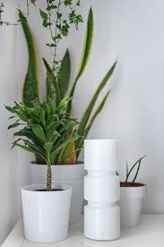 The traditional indoor approach uses plant pots with drainage holes in the bottom that sit in a saucer to catch the excess water as it drains through the soil. How To Care For Plants In Pots Without Drainage Holes Apartment Therapy