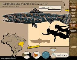 Related Image Extinct Animals Prehistoric Creatures Prehistoric Animals