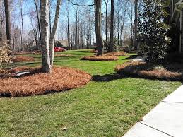 Grass grows poorly in acidic soil, so you'll have to neutralize the soil under your pine trees. Why Pine Straw Mid Atlantic Pine Straw Mulch