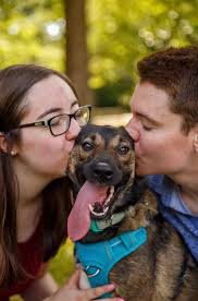 Desperate for Waffles' puppy and full-grown reflection pics