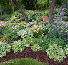 A Good Year For The Hostas | Christmas Notebook