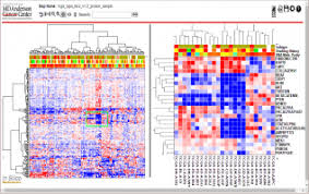 Image result for bioinformatics heatmap