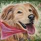 Paint YOUR Pet | $10 Bottomless Mimosas!