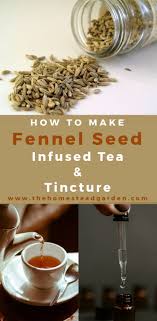 How much fennel tea should i drink? Anise Or Fennel Seed Infused Tea Or Tincture Medicinal Tea Fennel Seeds Fennel Recipes