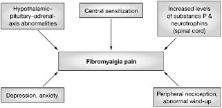Image result for Fibromyalgia
