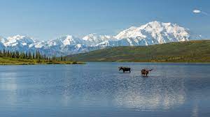 Travel through alaska's rail corridor, visiting some of the state's most renowned destinations including anchorage, denali national park. A Visit To Denali National Park Helped Me Overcome My Fear Of The Outdoors Conde Nast Traveler