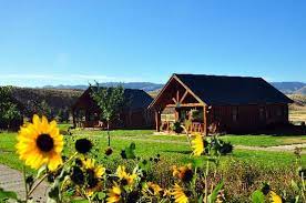It is approximately 30 miles north of yellowstone national park. Chico Cabins Picture Of Chico Hot Springs Resort Pray Tripadvisor