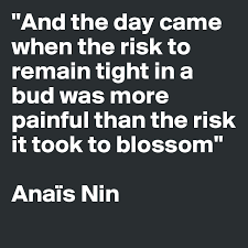 And The Day Came When The Risk To Remain Tight In A Bud Was More Painful Than The Risk It Took To Blossom Anais Nin Post By Josefibbla On Boldomatic