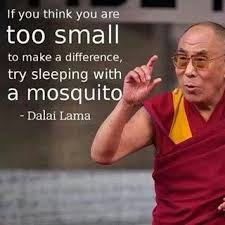 Pin By Janina Barnes On Devotions Notes Dalai Lama Quotes Change Quotes Dalai Lama