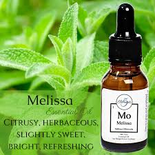 Image result for Melissa officinalis