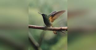 Obituary information for Billie Morin