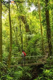 We did not find results for: Monteverde And Santa Elena Cloud Forest Which To Visit Monteverde Forest Reserves Clouds