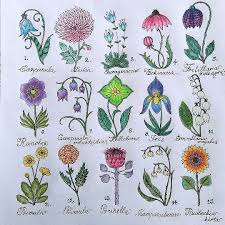 Combine the above ingredients€ this pdf book contain first grade recipe conduct. World Of Flowers Johanna Basford Coloring Joanna Basford Coloring Basford Coloring